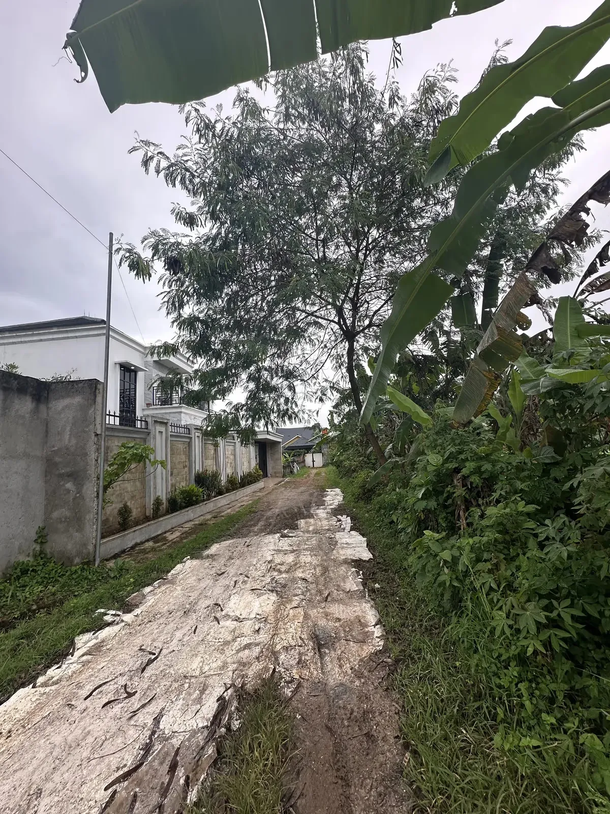 Akses jalan masuk ke tanah dijual di Bakti Jaya, Setu